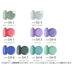 【最終価格】 ジェルネイル カラージェル ワン...の詳細画像4