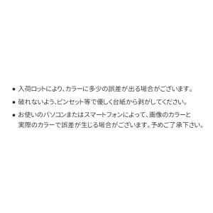 ネイルシール 千鳥柄 千鳥格子 ちどり柄 秋ネ...の詳細画像2