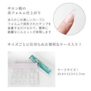 ネイルチップ 長さだしチップ 全2種 大容量 ...の詳細画像2