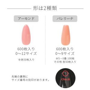 ネイルチップ 長さだしチップ 全2種 大容量 ...の詳細画像3