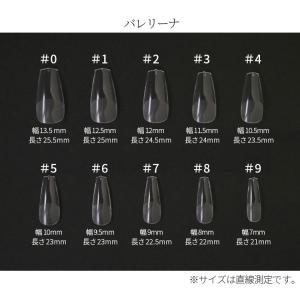 ネイルチップ 長さだしチップ 全2種 大容量 ...の詳細画像5