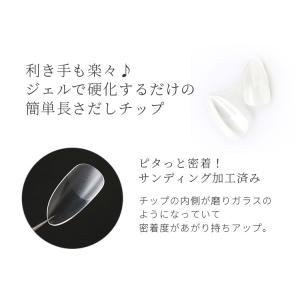 ネイルチップ 長さだしネイルチップ4種 120...の詳細画像1
