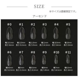 ネイルチップ 長さだしネイルチップ4種 120...の詳細画像4