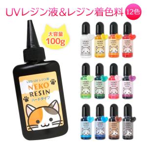 【着色料セット】ハードレジン100g & レジン...の商品画像