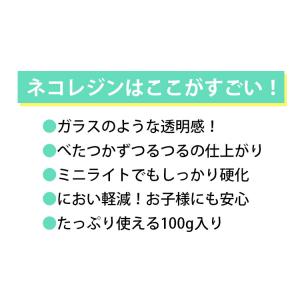 【着色料セット】ハードレジン100g & レジ...の詳細画像2