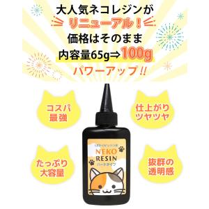 【着色料セット】ハードレジン100g & レジ...の詳細画像1