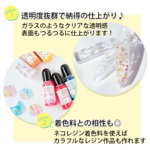 【着色料セット】ハードレジン100g & レジ...の詳細画像3