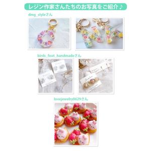 【着色料セット】ハードレジン100g & レジ...の詳細画像5