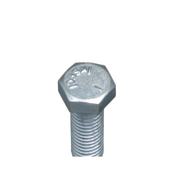 ヘックスボルト　５／１６−２４×１ｉｎ　ユニクローム