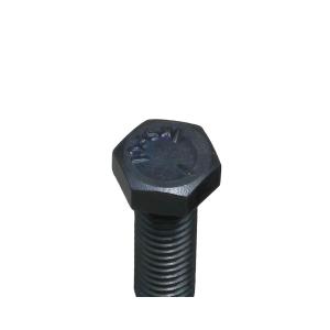 ヘックスボルト 3/8-16×1in ブラックの商品画像