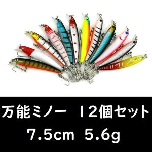ビッグミノー 10種10個セット 18cm 26g 青物 ヒラメ シーバス