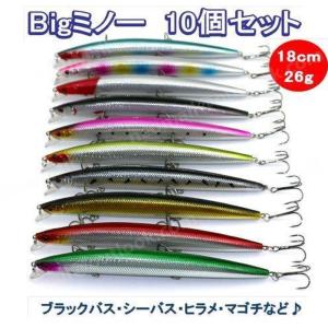 お買得  ビッグミノー 10種10個セット 18cm 26g 青物 ヒラメ