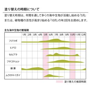 船底塗料 シージェット 033 中国塗料 2L...の詳細画像5
