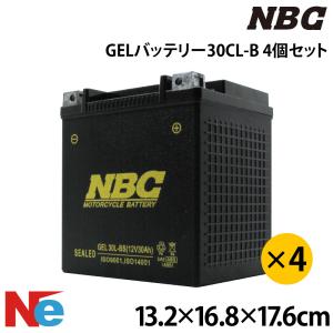GEL-30L-BS ゲルバッテリー SEADOO シードゥ 4ストローク ( -15 ) 水上
