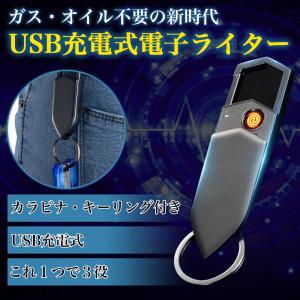 プラズマライター 電子 USB 充電式 オイル ガス不要 軽量