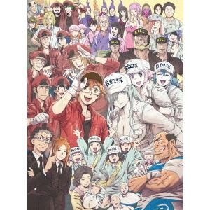 TVアニメ はたらく細胞 全巻 1-7 DVD セット : 脳トレ生活 - 通販