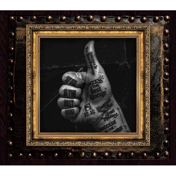 【送料無料】[CD]/SKY-HI/Success Is The Best Revenge -Del...