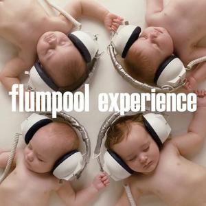 【送料無料】[CD]/flumpool/experience [通常盤]