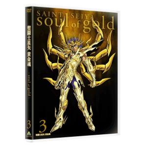 【送料無料】[DVD]/アニメ/聖闘士星矢 黄金魂 -soul of gold- 3 [特装限定版]