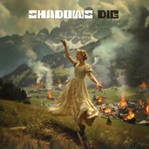 【送料無料】[CD]/SHADOWS/DIG