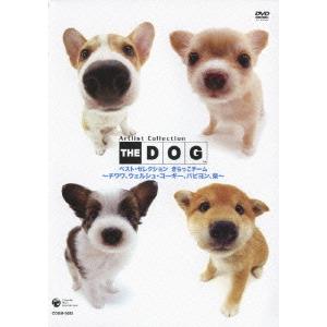 【送料無料】[DVD]/趣味教養/THE DOG ベスト・セレクション きらっこチーム〜チワワ、コーギー、パピオン、柴〜｜neowing