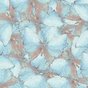 【送料無料】[CD]/yeti let you notice/hontounokoto