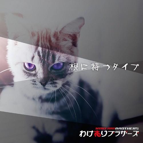 [CD]/わけありブラザーズ/根に持つタイプ