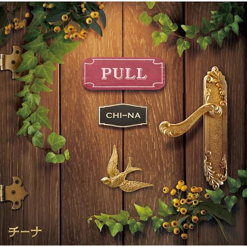 【送料無料】[CD]/チーナ/PULL