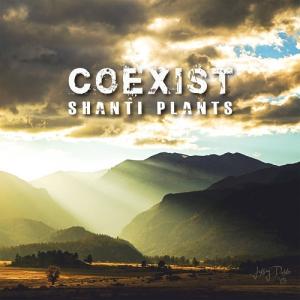 [アナログ盤 (LP)]/SHANTI PLANTS/COEXIST｜neowing