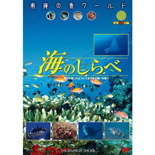 【送料無料】[DVD]/趣味教養/南海の魚ワールド 海のしらべ 映像魚類図鑑