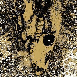 【送料無料】[CDA]/ライズ・アンド・フォーアワ・サークル・イズ・ヴィシャス