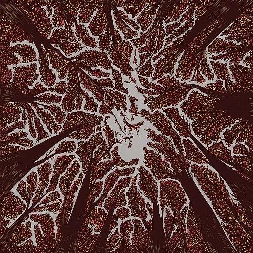 [CD]/TRASH BOAT/Crown Shyness