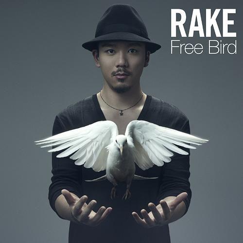 【送料無料】[CD]/Rake/Free Bird [DVD付初回生産限定盤]