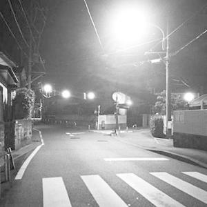 【送料無料】[CD]/ELEKTRO HUMANGEL/FOREVER AFTER