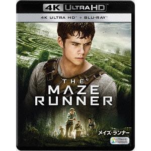 【送料無料】[Blu-ray]/洋画/メイズ・ランナー [4K UltraHD + 2Dブルーレイ]