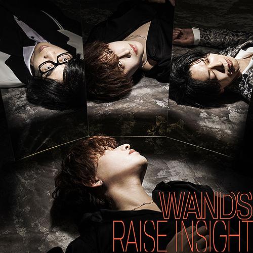 [CD]/WANDS/RAISE INSIGHT [CD+Blu-ray/通常盤]