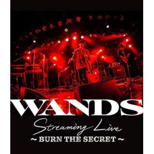 【送料無料】[Blu-ray]/WANDS/WANDS Streaming Live 〜BURN T...