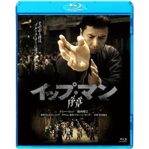 【中古】DVD▼イップ・マン(11枚セット)序章、葉問、継承、外伝 マスターZ、完結、誕生、最終章、宗師、黎明、立志、九龍 レンタル落ち 全11巻 イップ・マン 全11枚 序章、葉問、継承、外伝 マスターZ、完結
