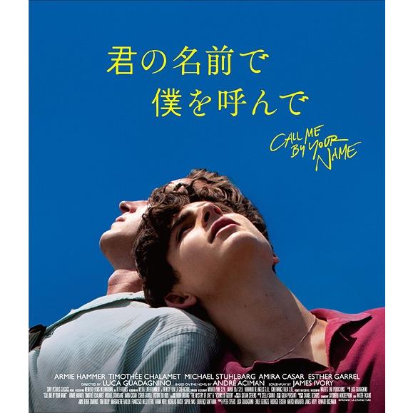 【送料無料】[Blu-ray]/洋画/君の名前で僕を呼んで