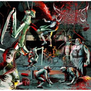 [CD]/Ailiph Doepa/Exormantis