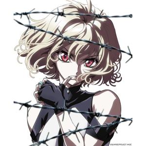 【送料無料】[Blu-ray]/アニメ/クロスアンジュ 天使と竜の輪舞 Blu-rayBOX [6B...