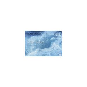 【送料無料】[DVD]/浅井愼平/THE WAVE