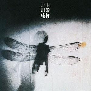 送料無料】[CD]/Da-iCE/TERMiNaL [CD+2DVD] : ネオウィング Yahoo!店