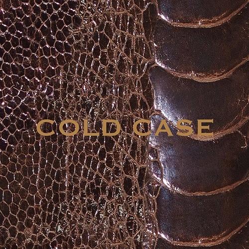 [CDA]/vistlip/COLD CASE 【LIMITED EDITION】 [DVD付初回生...