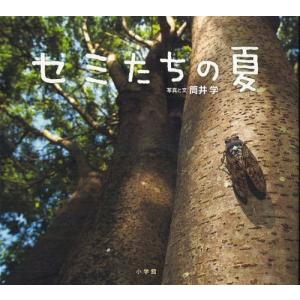 [本/雑誌]/セミたちの夏 (小学館の図鑑NEOの科学絵本)/筒井学/写真と文(児童書)