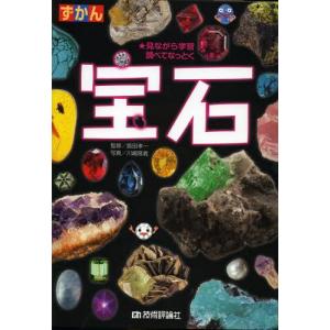【送料無料】[本/雑誌]/ずかん宝石 見ながら学習調べてなっとく/飯田孝一/監修 川嶋隆義/写真(単行本・ムック)