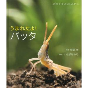 うまれたよ!バッタの買取情報