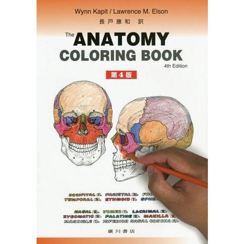 【送料無料】[本/雑誌]/カラースケッチ解剖学 / 原タイトル:THE ANATOMY COLORI...