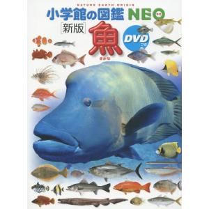 [本/雑誌]/魚 [DVD付き新版] (小学館の...の商品画像