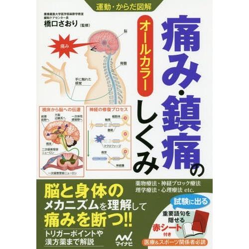 【送料無料】[本/雑誌]/痛み・鎮痛のしくみ オールカラー (運動・からだ図解)/橋口さおり/監修